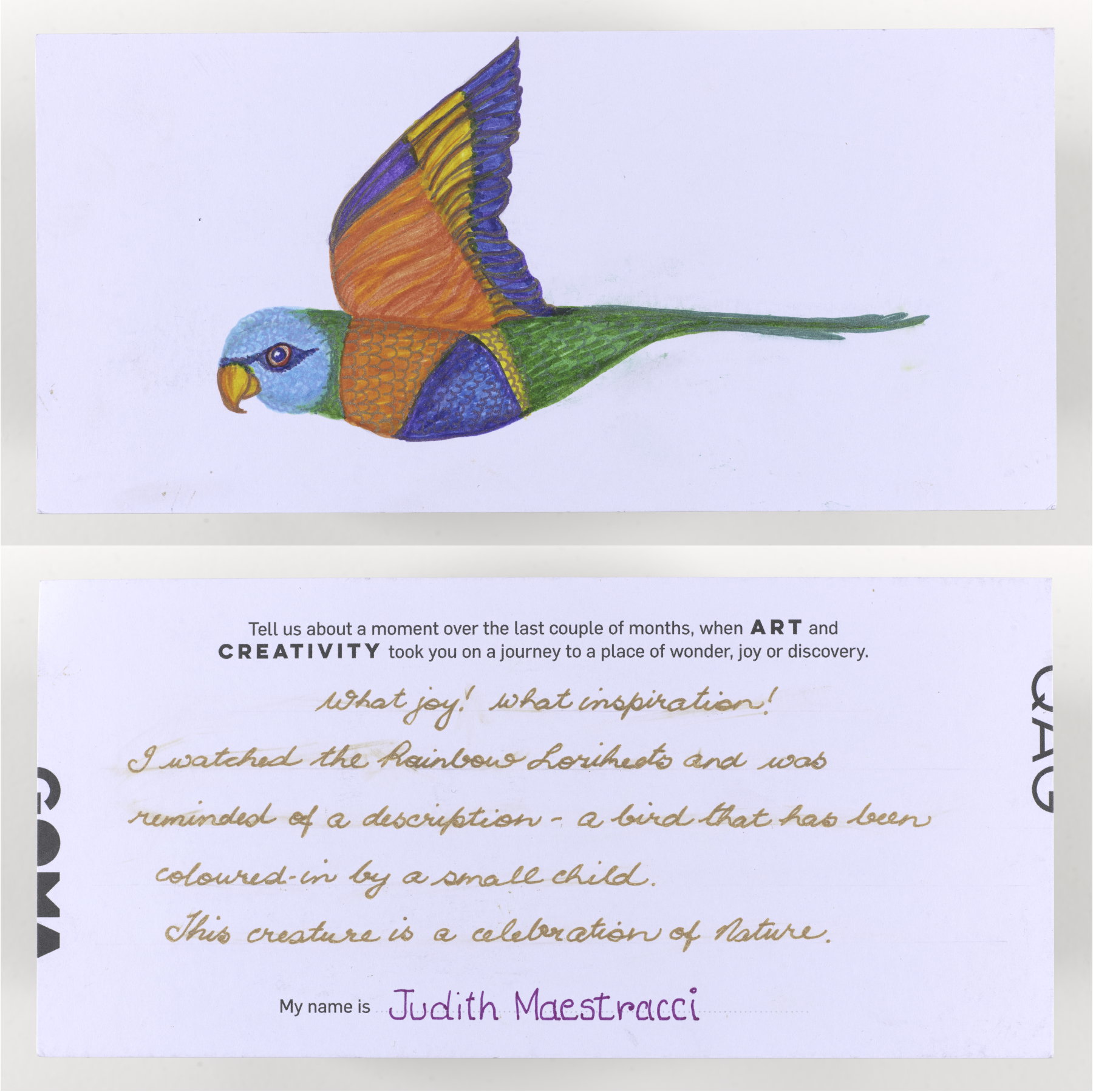Generated image of the artwork: Judith Maestracci